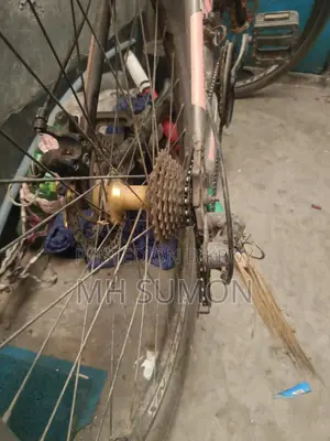 Phoenix Bicycle for Sale