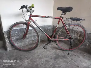 Racing Bicycle with Thin Tires for Sale