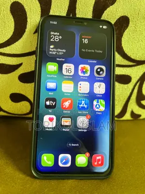 Apple iPhone 11 Pro Max 64 GB (Used)