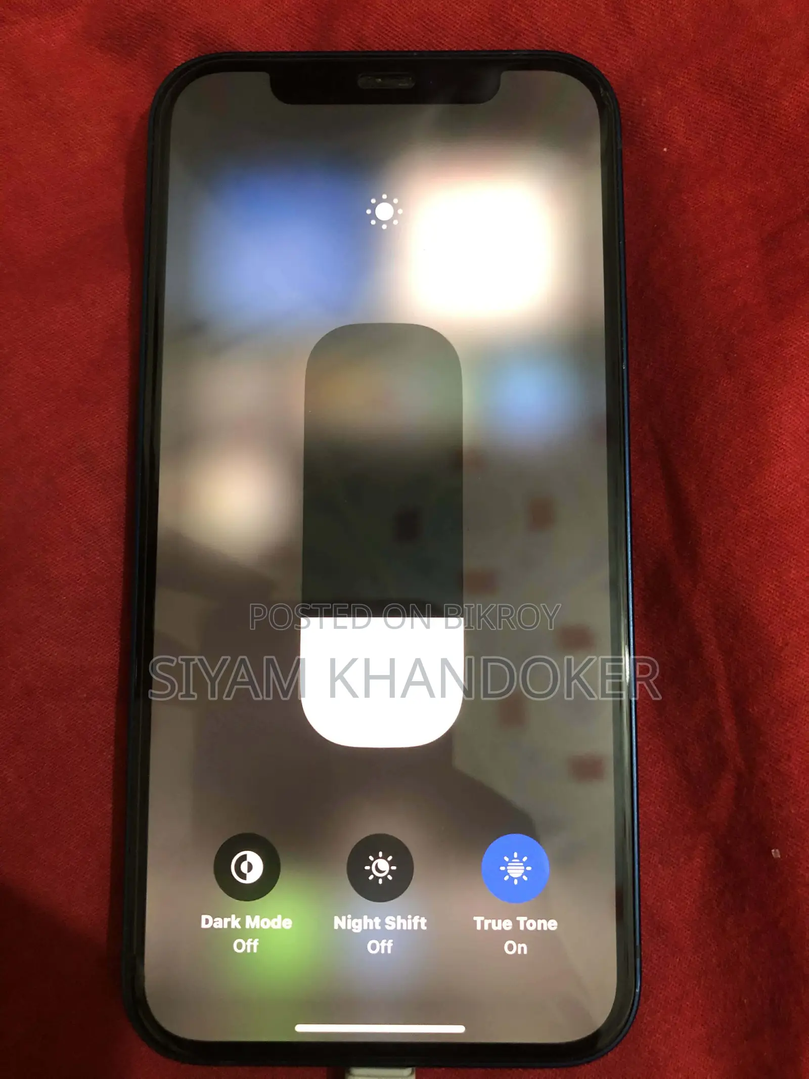 Apple iPhone 12 (Used, No Modifications)
