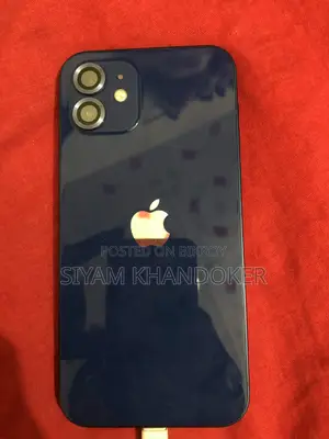 Apple iPhone 12 (Used, No Modifications)
