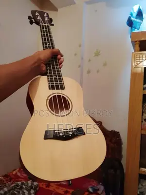 ২ দিন ব্যবহৃত / ইউকুলেলে বিক্রির জন্য