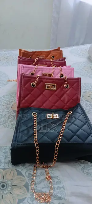 Ladies Hand Bag