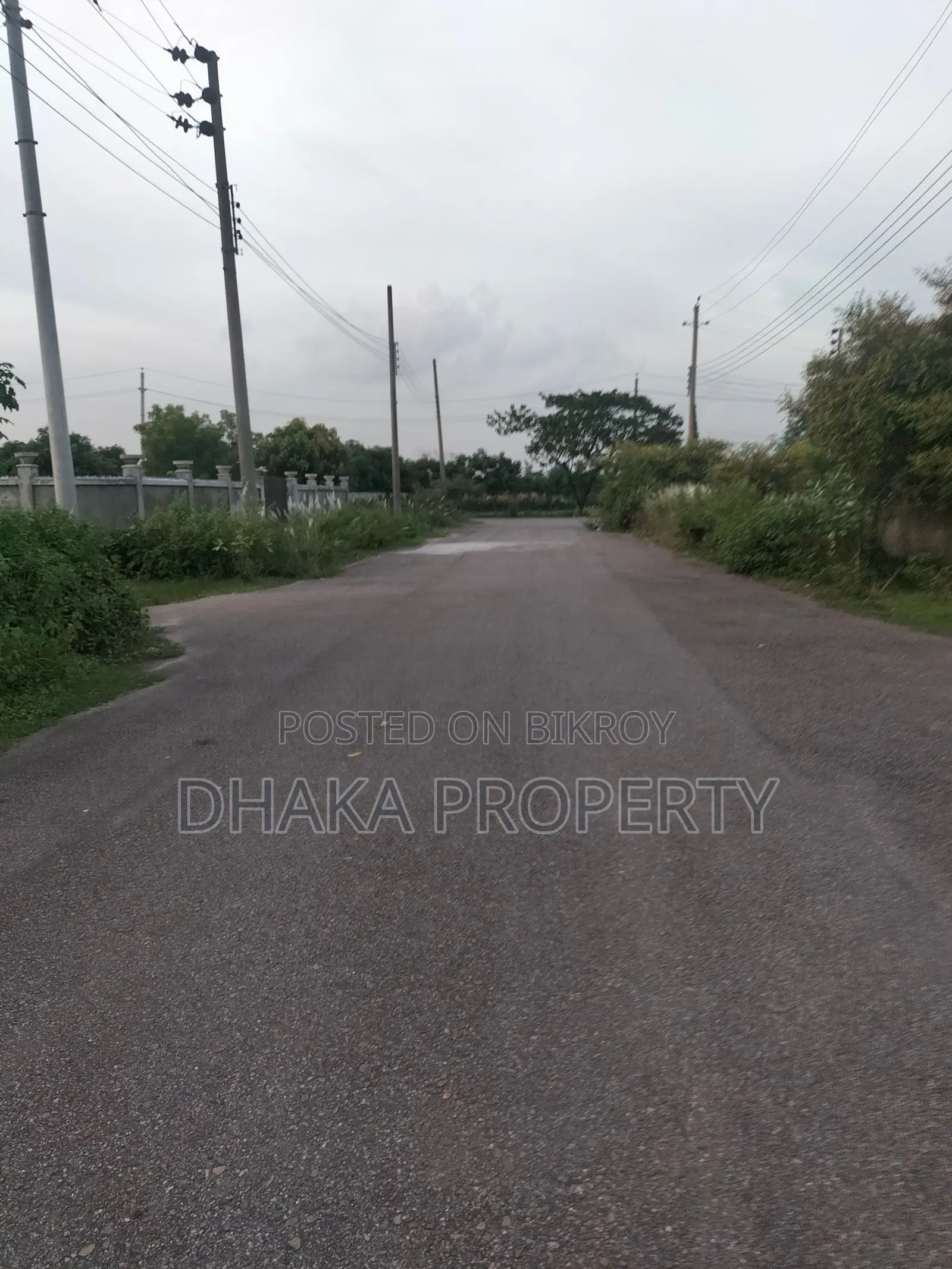 48ft Rd 3 Katha Park South at Sector- 9