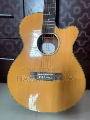 Guitar for Sale
