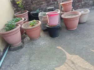 ছাদ বাগান টব বিক্রি করে দিবো
