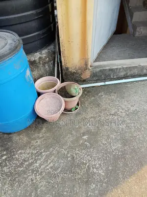 ছাদ বাগান টব বিক্রি করে দিবো