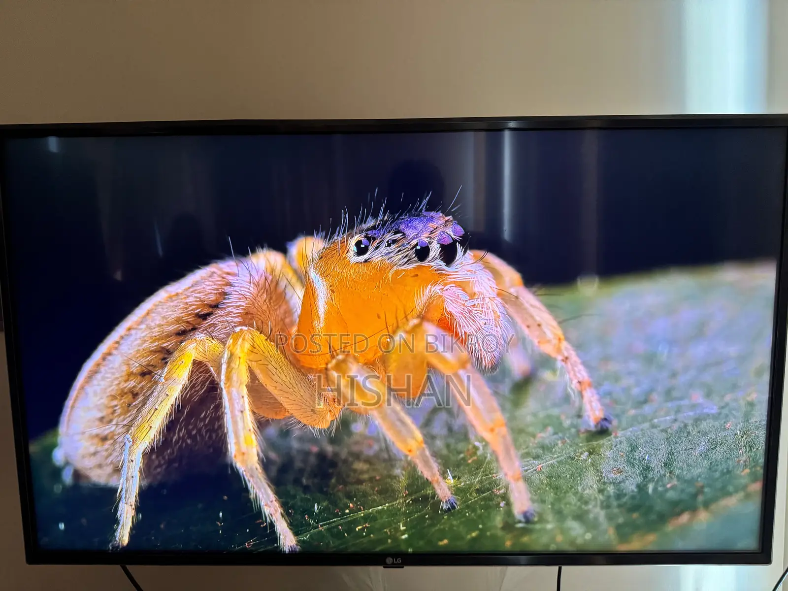 LG 43 Inch UHD 4K TV