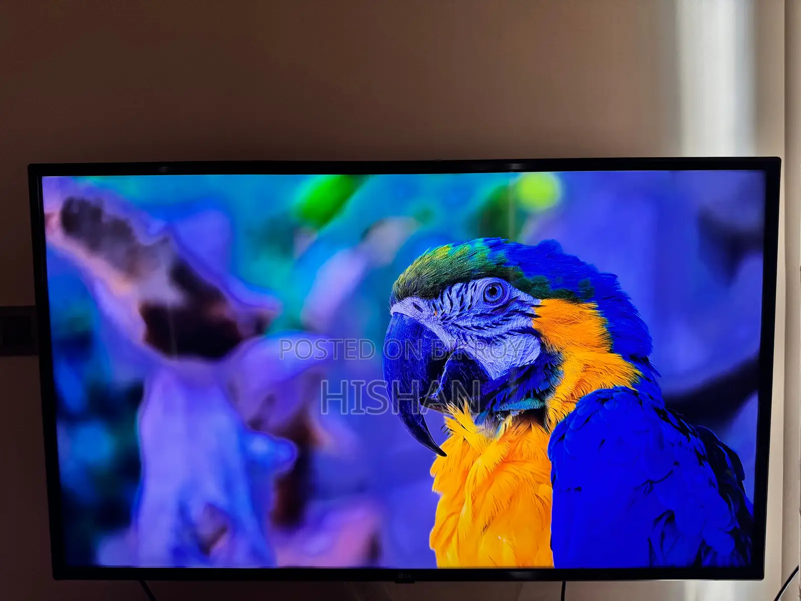 LG 43 Inch UHD 4K TV