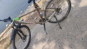 Running Cycle