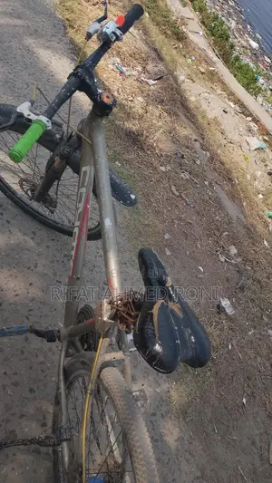 Running Cycle