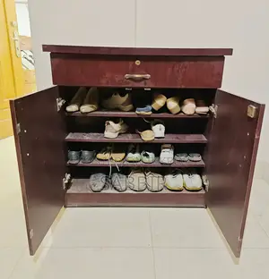 Two-Door Otobi Wardrobe and Shoe Cabinet