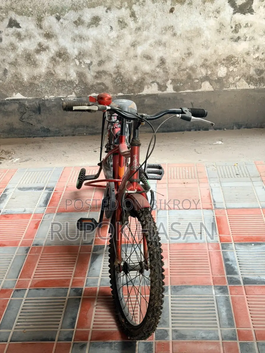 Cycle For 7-10 Years