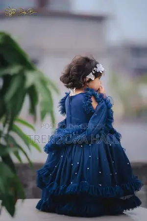 Baby Primium Party Dress