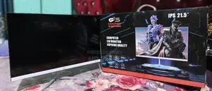 Gigasonic 22" Monitor