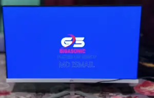 Gigasonic 22" Monitor