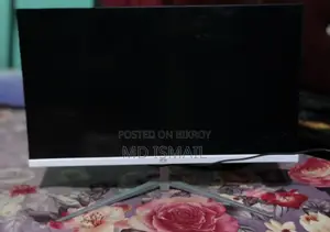 Gigasonic 22" Monitor