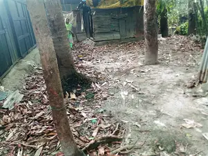 বিদ্যুৎ পানির লাইন- ঘর সহ জমি বিক্রি