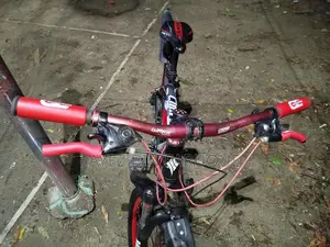 Bicycle for sale