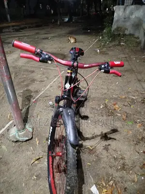 Bicycle for sale