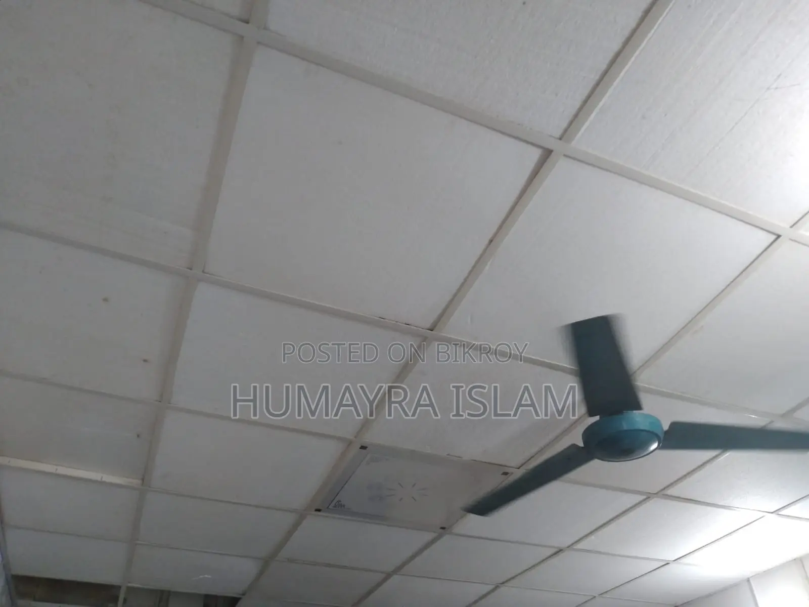 ককসিট/ ফোম