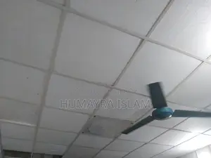 ককসিট/ ফোম