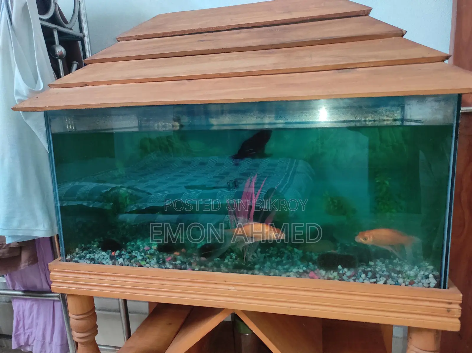 Complete Aquarium Setup for Sale