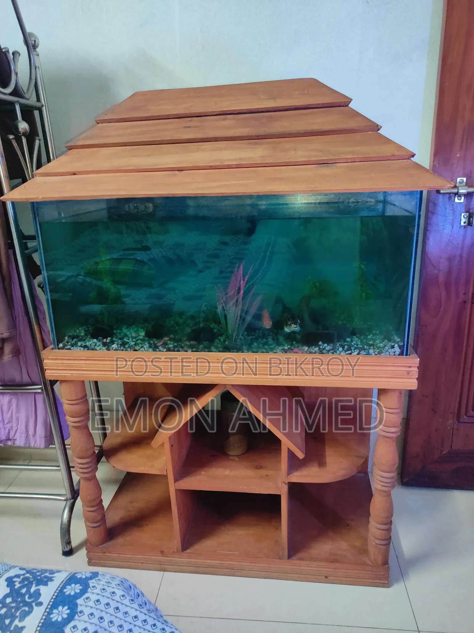 Complete Aquarium Setup for Sale