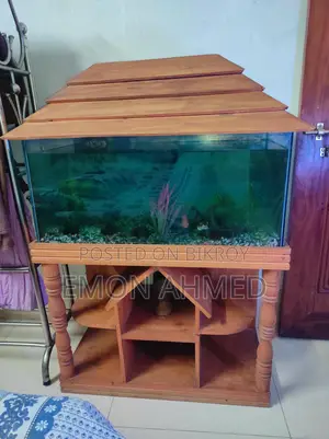 Complete Aquarium Setup for Sale