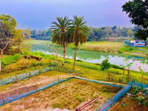 House for sell