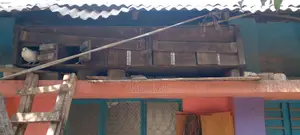 কবুতরের কাঠের বাসা