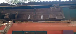 কবুতরের কাঠের বাসা