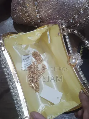 Handbag Used for Two Days