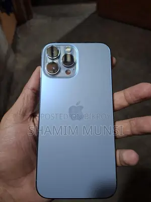 Apple iPhone 13 Pro Max (Used)