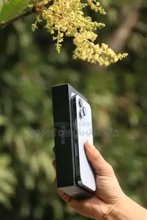 Apple iPhone 13 Pro Max (Used)