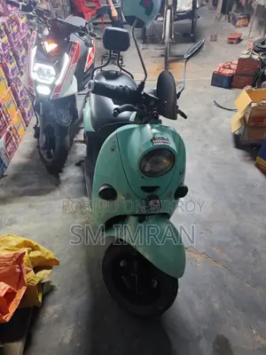 Beetle Bolt 2023