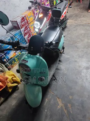 Beetle Bolt 2023