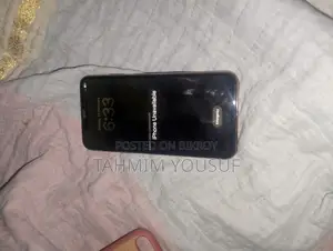 Apple iPhone XS Max (Used)