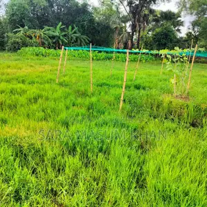 5 Katha Land for Sale