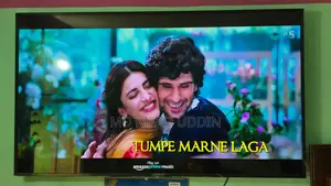 65" Sony Bravia, a very good TV