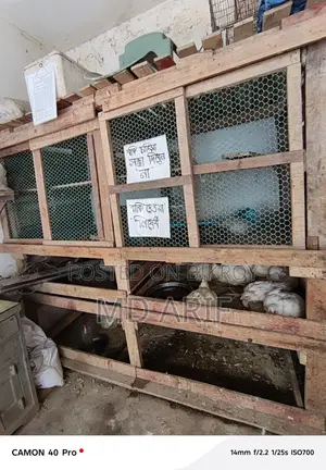 বড় কাঠের খাচা