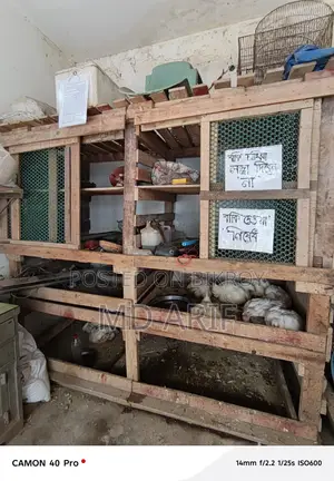বড় কাঠের খাচা