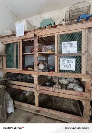 বড় কাঠের খাচা