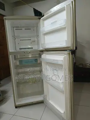 নন ফ্রস্ট ফ্রিজ