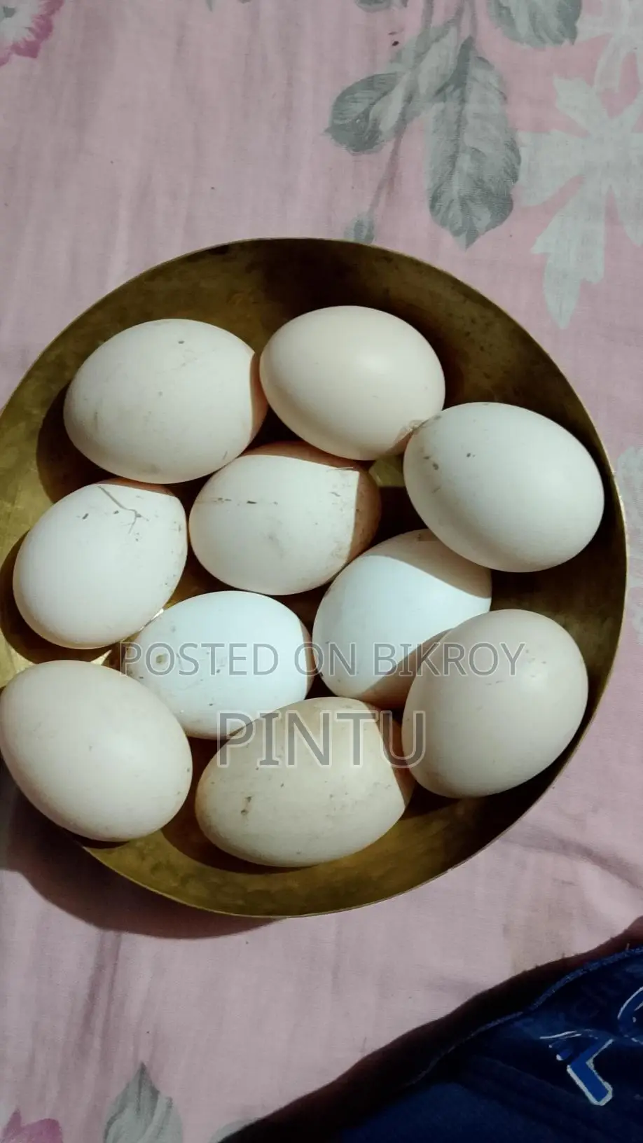 Fayoumi Chicken Hatching Eggs