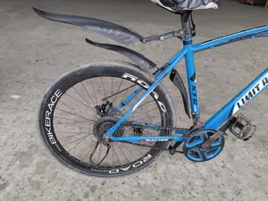 Limited Racing Bicycle