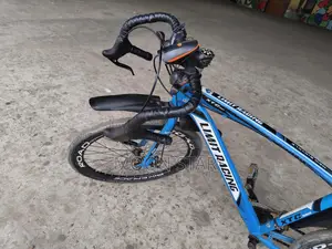 Limited Racing Bicycle