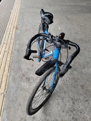Limited Racing Bicycle