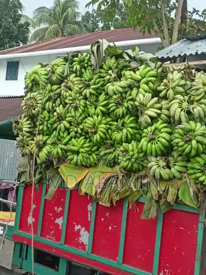 Three Wheeler