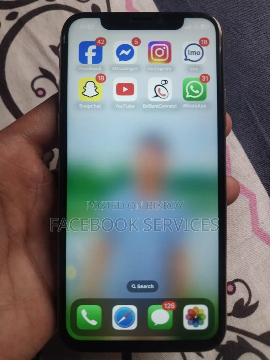 Apple iPhone XS 64 GB Fresh (Used)